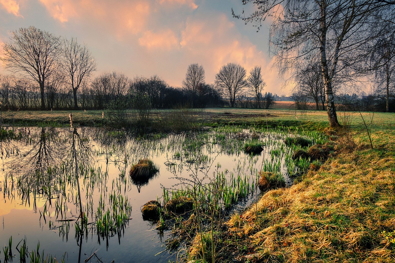 Revolutionary Eco-Friendly Innovations to Watch